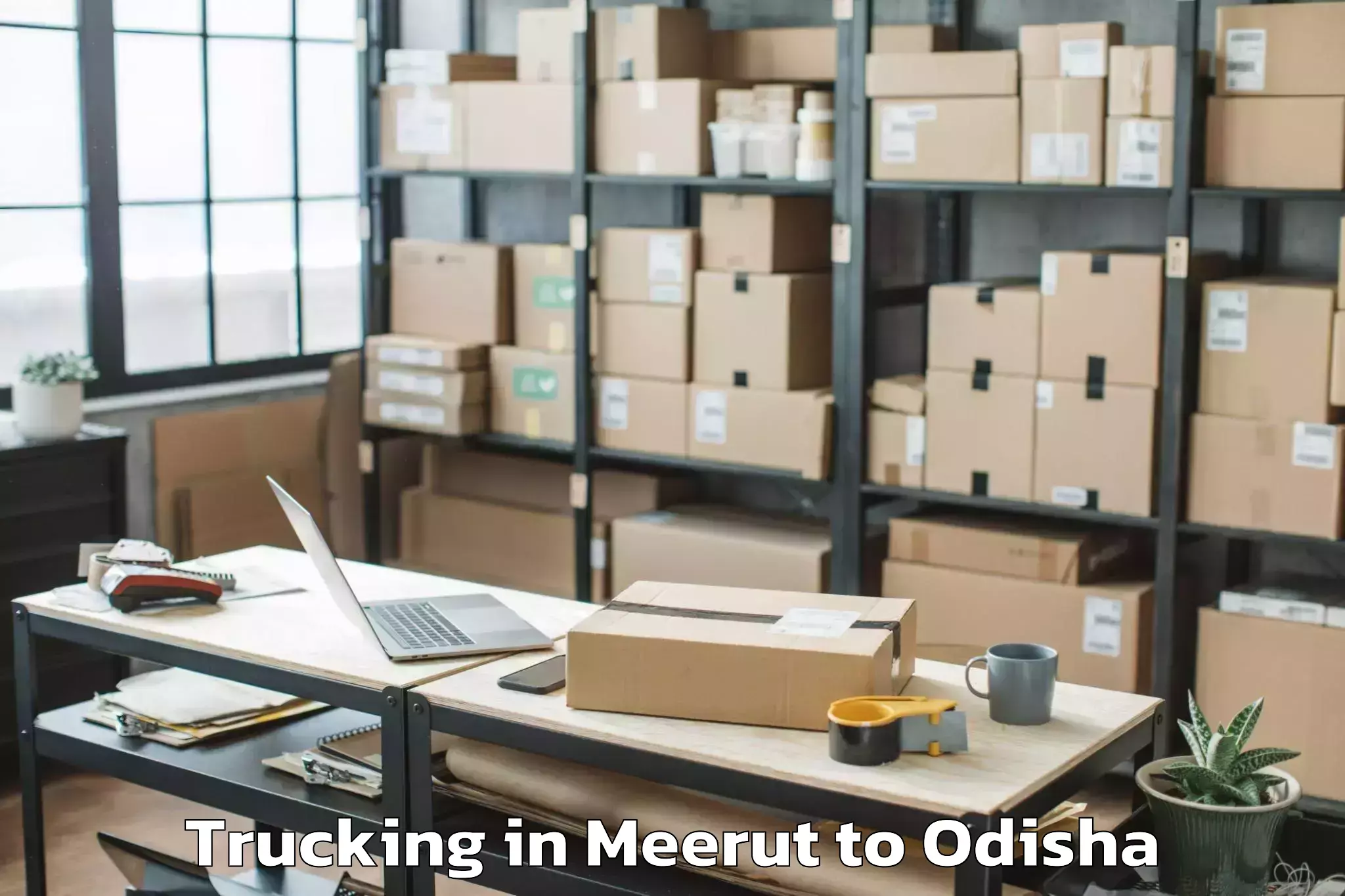 Top Meerut to Rasol Trucking Available